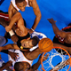Illustration for article titled Your NBA Finals Game 3 Open Thread